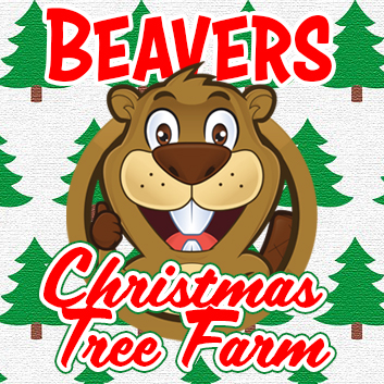 Beavers-Christmas-tree-farm